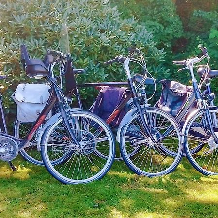 Vakantiehuis Hollum Ameland Dichtbij Strand En Met Ruime Tuin - Ameland39 Nl Екстериор снимка