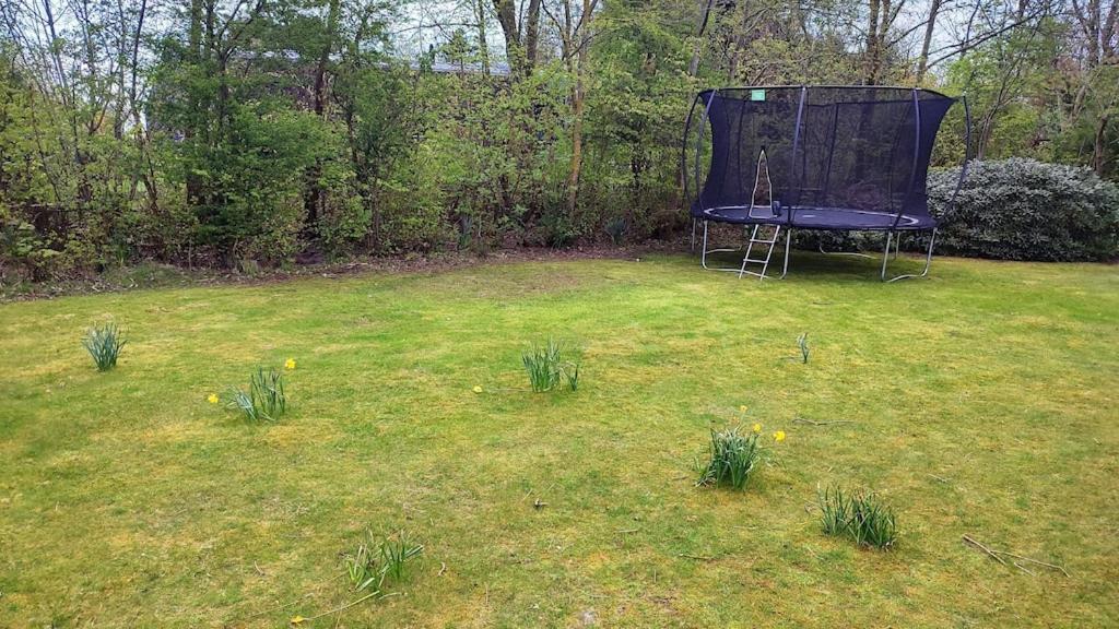 Vakantiehuis Hollum Ameland Dichtbij Strand En Met Ruime Tuin - Ameland39 Nl Екстериор снимка